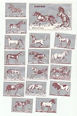 Complete Set Of Horses - Matchbox Labels- Hungary (p16) • $8
