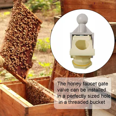 Bottling Equipment Tap Extractor Beekeeping Tool Honey Gate Valve Bee Outdoor • £17.71