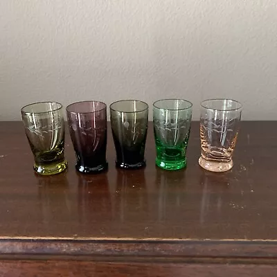 Vintage Shot Cordial Glasses Colored Etched Wheat Barware Set Of 5 • $10