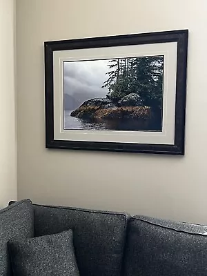 Thomas D. Mangelsen Guardian Of Knight Inlet Rainforest Landscape Framed Photo • $4995