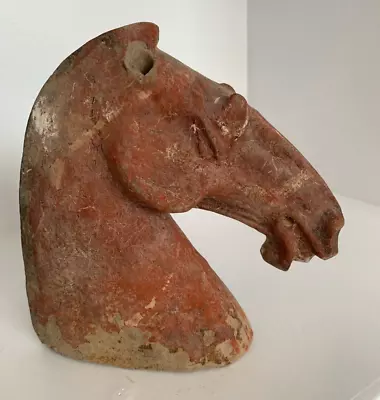 Chinese Tang Dynasty Terrocotta Horse Head 6  X 6  • £140