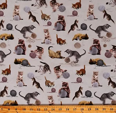 Cotton Cats Kittens Balls Of Yarn You Had Me At Meow Fabric Print BTY D381.55 • £14.43