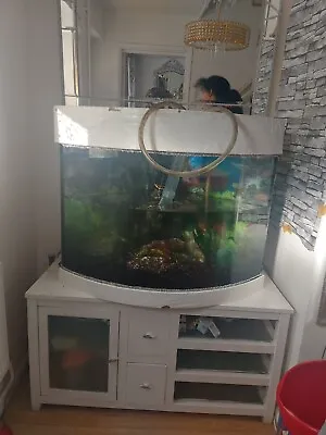 Large 5 Foot Aquarium Fish Tank.  • £184