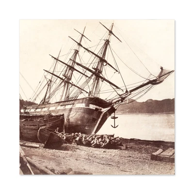 £21.99 • Buy Johnson American Barque Jane Tudor Conway Bay Photo Wall Art Canvas Print 24X24 