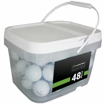 48 Titleist Pro V1 2019 Near Mint Quality Used Golf Balls AAAA In A Free Bucket! • $68.36