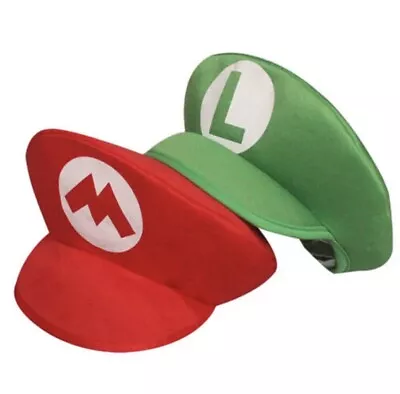 Super Mario Bros Luigi Foam Hat Cap And Moustaches Fancy Dress Costume Party Hot • $11.99
