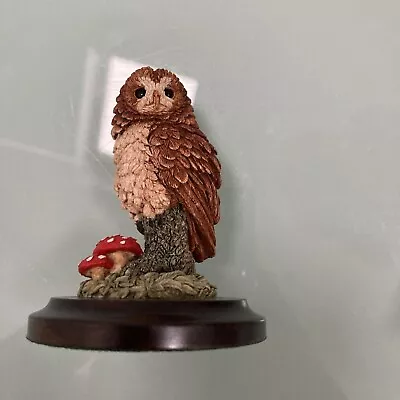 Hand Painted Country Artists Tawny Owl Number CA868. Boxed • £10