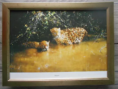 David Shepherd Print 'Jaguars'  FRAMED • £23