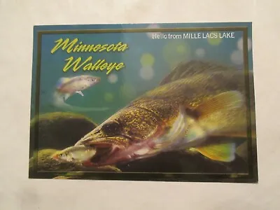 $5.99 • Buy Minnesota Postcard Walleye Hello From Mille Lacs Lake Continental Size 