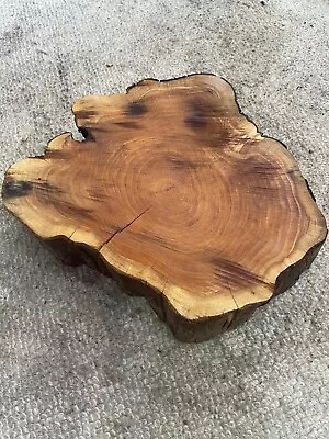 English Yew Slab Live Edge Cookie Ref Y1 • £7.50