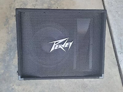 Peavey Floor Monitor/PA Speaker  • $150