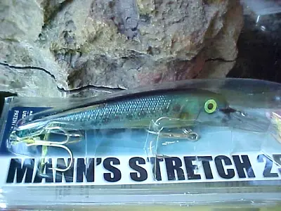 Mann's Textured Stretch 25+ BIGFISH Fresh/Salt Trolling Lure T25-11 In SARDINE • $18.56