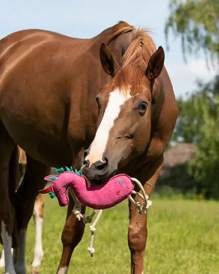 Qhp Horse Toy Field Stable Bordem Soft Toys For Horse Pony Or Foal • £14.95