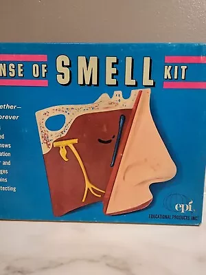 Sense Of Smell Vintage Educational Human Anatomy Kit Model Of The Upper Nasal  • $11.82