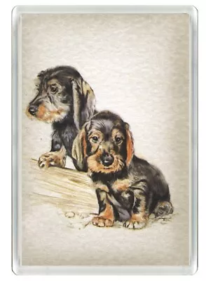 Dachshund Wire Haired Pups Beautiful Dog Art Novelty Fridge Magnet   Great Gift • £3.49