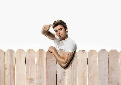 Large A3 Zac Efron Poster (Brand New) • £21.99