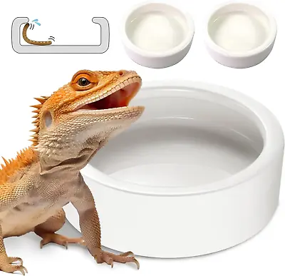 2 Reptile Food Dish Bowl Worm Water Dish Small Lizard Gecko Ceramic Pet Bowl • $10.35