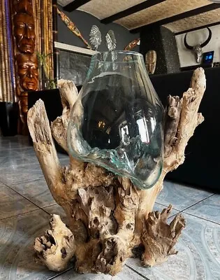 Root Wood Flower Vase Mangrove Root Decoration Root Wood Glass Vase Height 60 Cm • £329.50