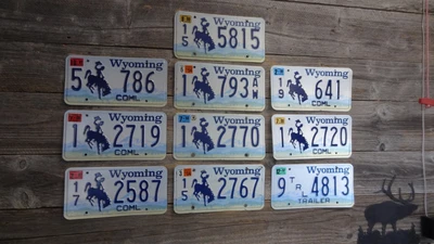 $19.99 • Buy Wyoming License Plate Bulk Lot Bucking Horse All Original Embossed Blue Mtns !!!