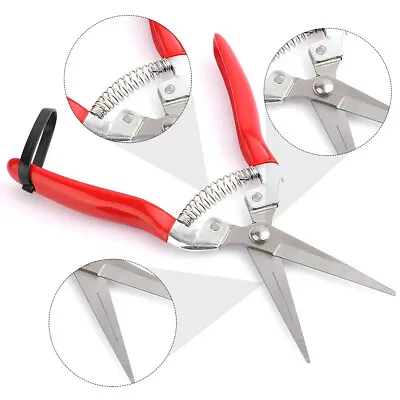 Garden Pruning Shears Cutter Secateurs Pruner Scissors Hand Plants Cutter Sjg • £8.04