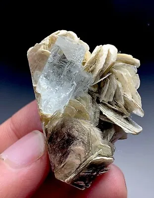 Aquamarine Crystal With Flower Mica Specimen From Skardu Pakistan 180 Cts • $80
