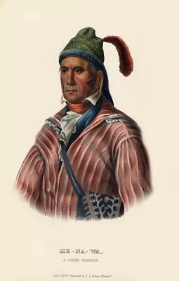 McKenney Hall Indian - ME-NA-WA Or The Great Warrior A Creek - 13 X 19 Print • $9.99