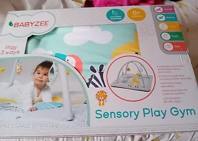 Baby Play Mat Activity Gym New NEVER TAKEN OUT OF THE BOX • £20