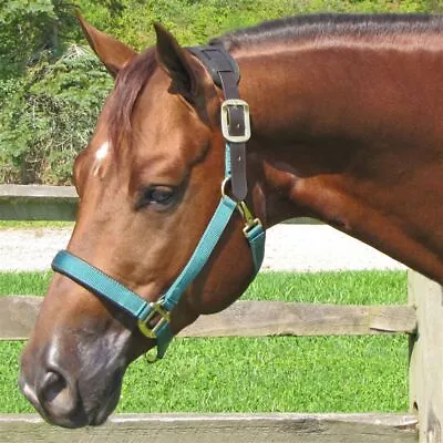 Dura-Tech Comfort Plus Nylon Breakaway Horse Halter | Various Sizes And Colors • $49.99