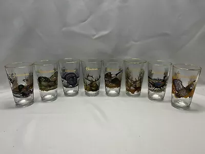 Vintage Budweiser Pint Beer Glasses Wildlife Series Outdoor Scenes 1999 Set Of 8 • $91.20