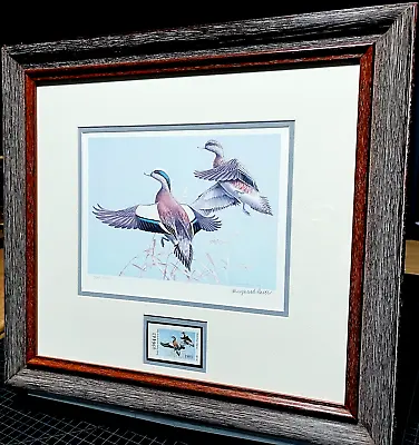 Maynard Reece 1983 Texas Duck Stamp Print With Stamp Classic - Brand New Frame • $325