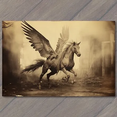 POSTCARD Pegasus Majestic Wings Horse Skies Mystical Beauty Unleashed Unusual • $6