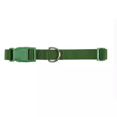 Zack & Zoey 1  Wide Nylon Pet Collar Green New With Tags • $15