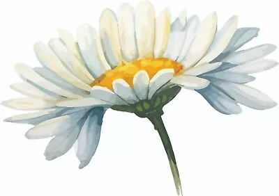 Daisy Flower Vinyl Decal Sticker - Decor - A2883 • £3.99