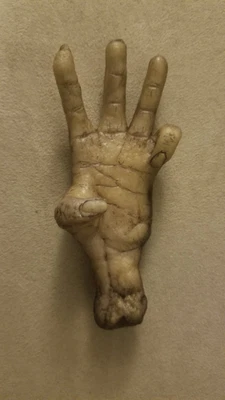 $22.99 • Buy “Cursed” Monkey's Paw / Monkey Hand Prop Replica Hand Made 3 Wishes Life Sized