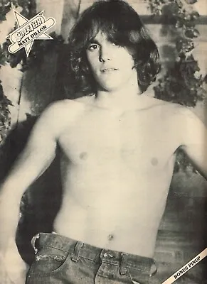 Matt Dillon Shirtless - 11  X 8  Teen Magazine Pinup Mini-Poster  1981 • $38.94