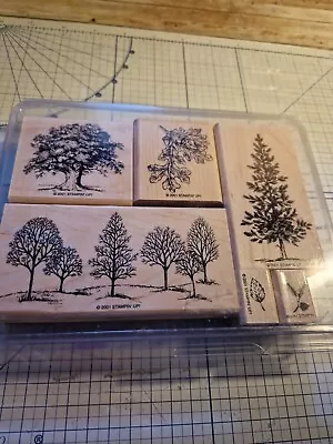 Stampin Up Lovely As A Tree Cling Stamp Set • £24