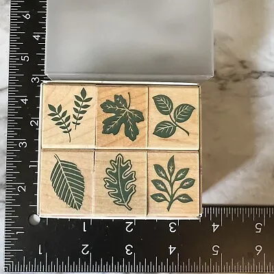 Rubber Stamp Set 6 Hero Arts Decorative Leaves LL668 Wood Mounted Maple Fern Oak • $7