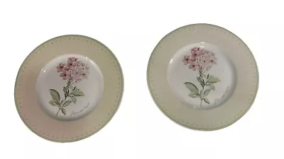 Set Of 2 Villeroy And Boch Florea Floris 8 1/2 In Salad Plate 'Plumbago' • $25.49