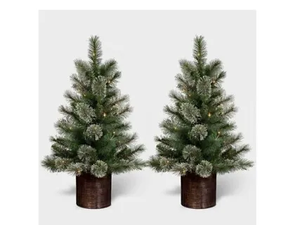 2pc 3' Pre-Lit Virginia Pine Potted Mini Artificial Christmas Tree Clear Lights • $57