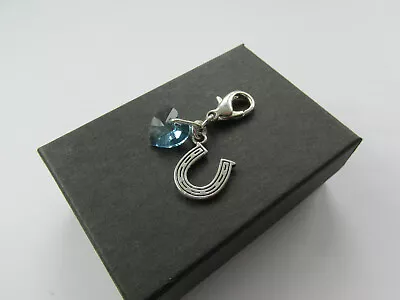 £4.95 • Buy Wedding Gift For Bride Something Blue Swarovski Elements Heart & Horseshoe Charm