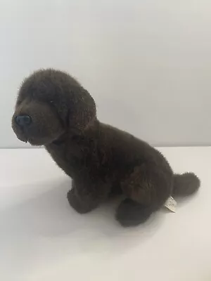 E&J Classic Prima Collection Brown Chocolate Labrador Plush Stuffed Animal READ • $24.95