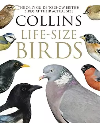 Collins Life-Size Birds: The Only Guide To Show British Birds At ... By Rob Read • £20.99