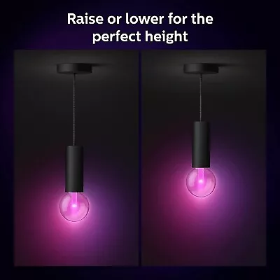 Philips Hue White & Colour Ambiance Lightguide 500 Lm With Cord EACH • $238