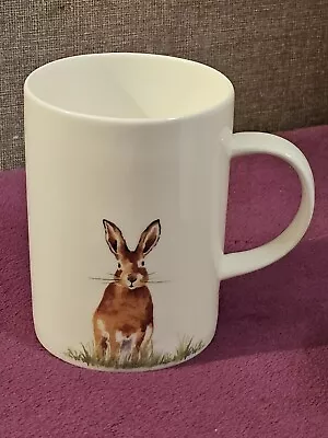 ROY KIRKHAM RSPB ‘Helping Give Nature A Home’ FINE BONE CHINA RABBIT MUG • £3.99