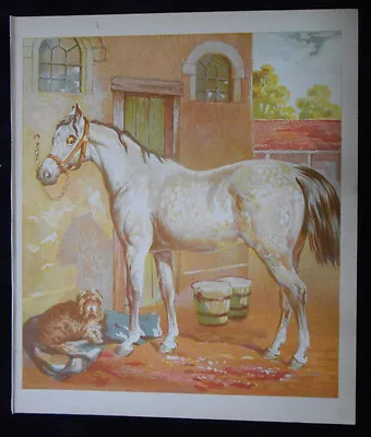 Terrier Dog With Horse Antique Lithograph 1872 John Herring Horse Art • $29.95