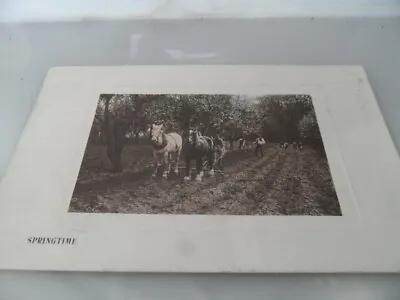 £5.10 • Buy Horses  Plough  Group  POSTED 1902   REAL PHOTO  VINTAGE POSTCARD GOOD CONDITION