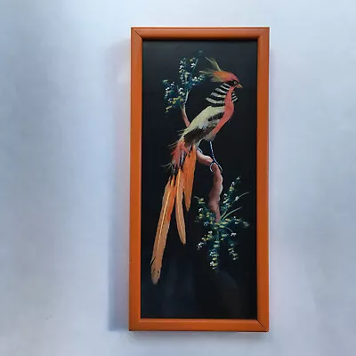 Mexican Feathercraft Framed Bird Folk Art Collectible Piece Feather Vintage 14” • $22.99