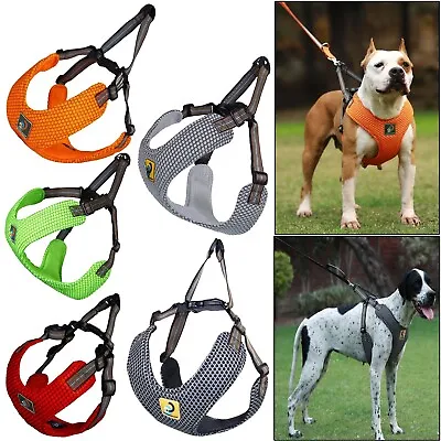 £19.95 • Buy Dog Walking Harness No Pull Adjustable Puppy Walking Vest With Free Dog Lead S-L