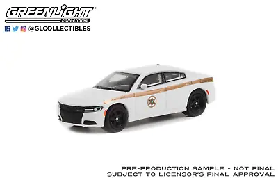 Greenlight 1/64 Absaroka County Sheriff 2015 Dodge Charger Hobby Exclusive 30335 • $3.99