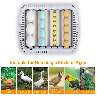 35 Egg Incubator With Automatic Egg Turning Temperature And Humidity Control US • $64.88